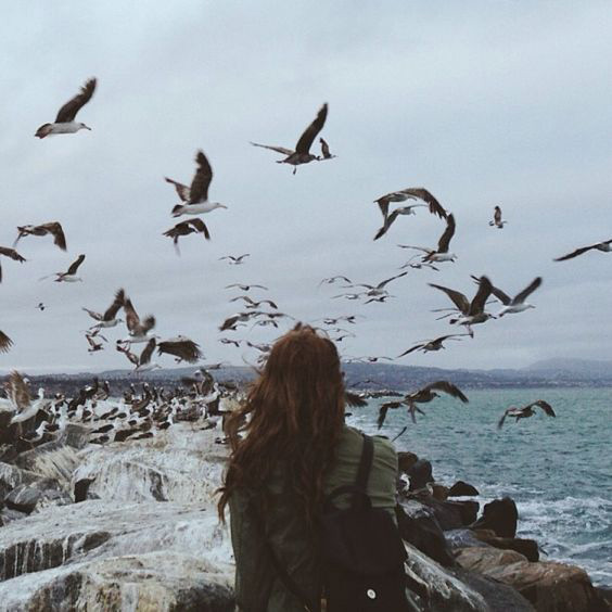 A woman stands back to camera gazing out at the ocean and a flock of seagulls